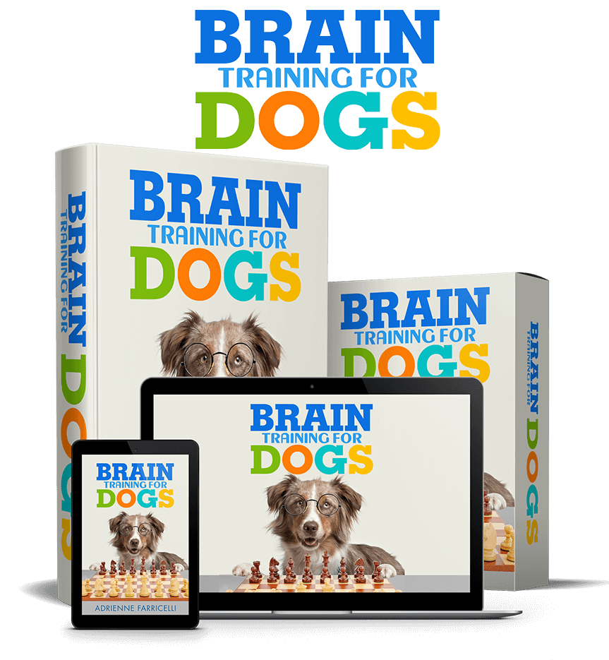 Brain Training for Dogs product image