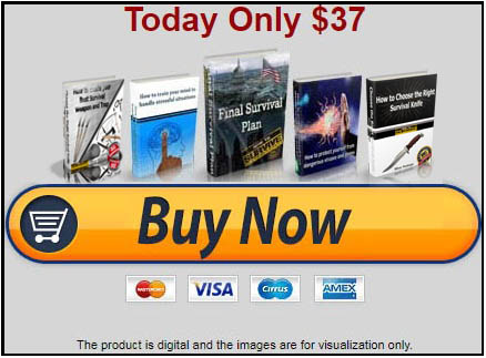 Final Survival Plan product image