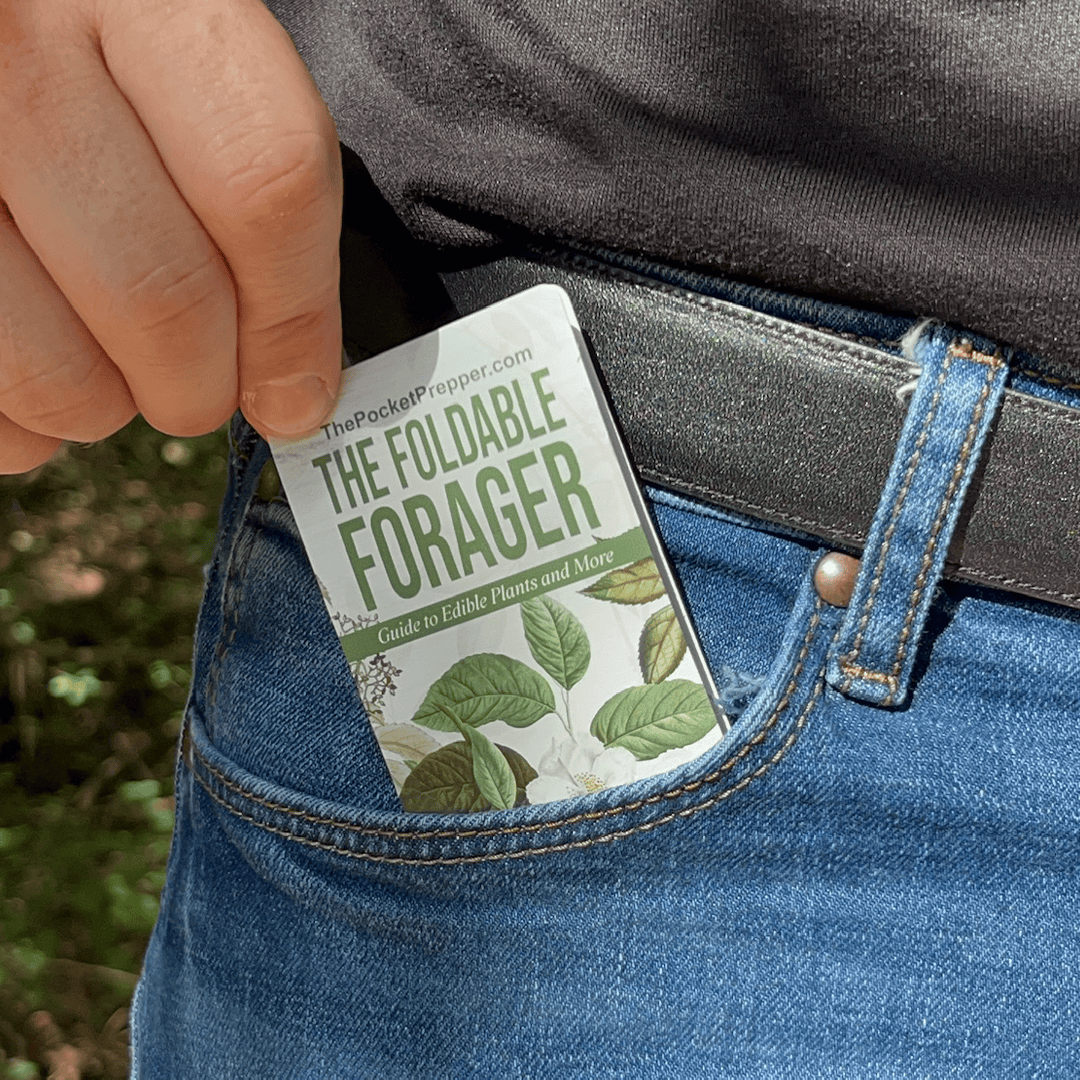 The Foldable Forager product image