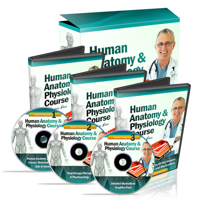 Human Anatomy & Physiology Course product image