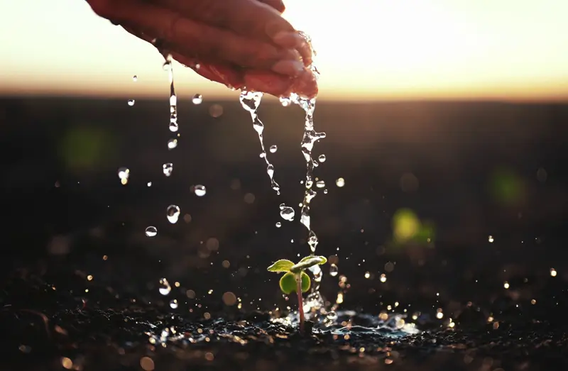 Joseph's Well product image