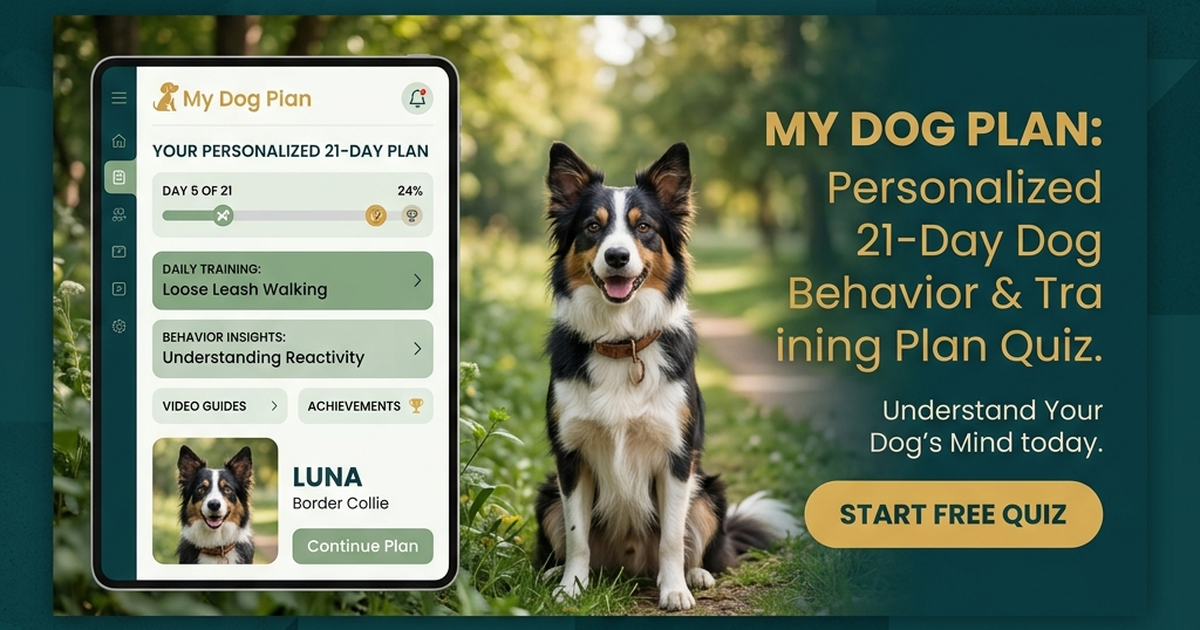 My Dog Plan Quiz product image