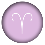 Personalized Astrology System (Eastern & Western) product image