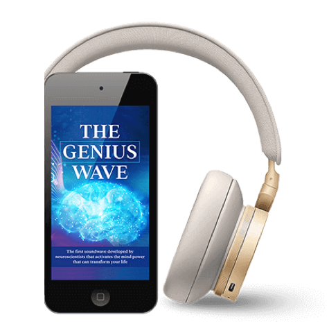 The Genius Song product image